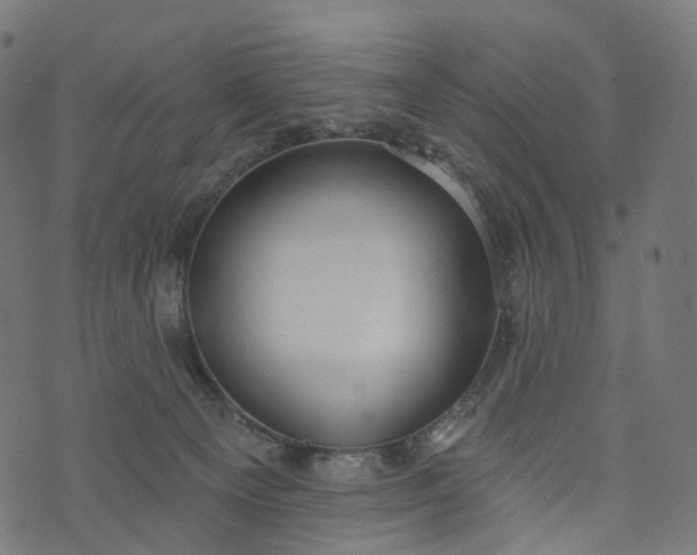 X0000073760129200608171406