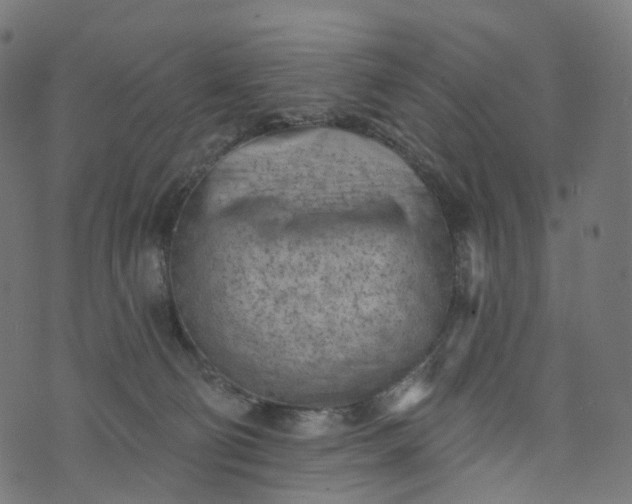 X0000073760130200608171406