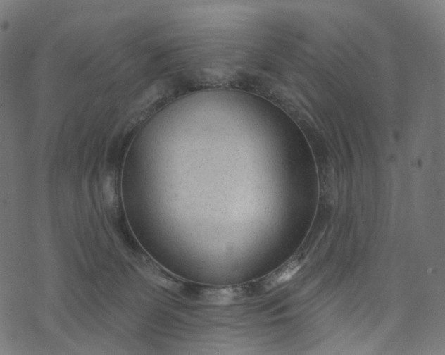 X0000073760131200608171406