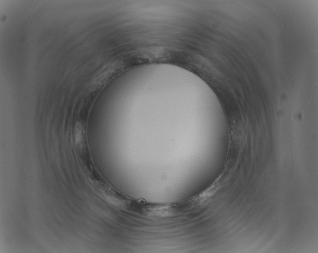 X0000073760132200608171406