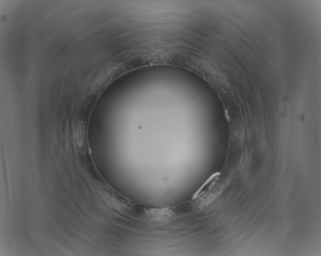 X0000073760133200608171406