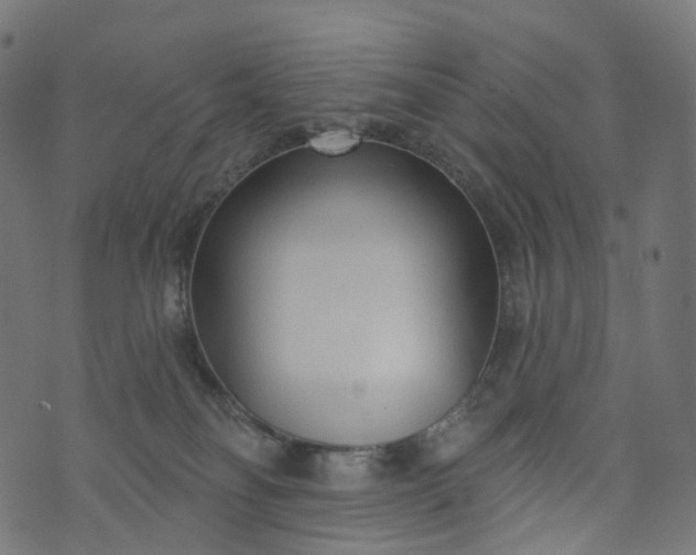 X0000073760134200608171406