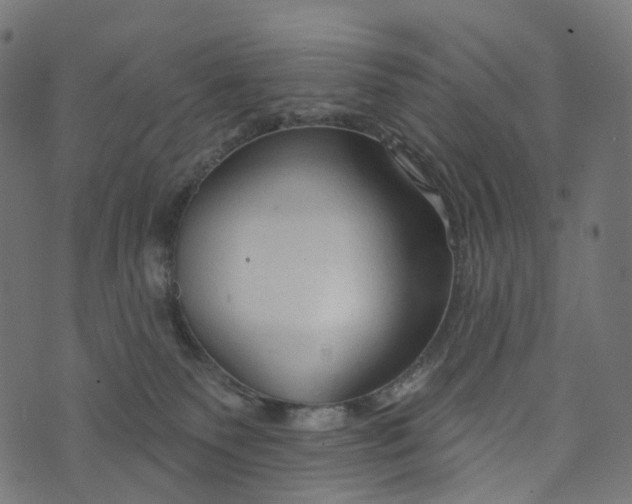 X0000073760135200608171406