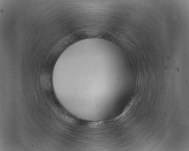 X0000073760136200608171406