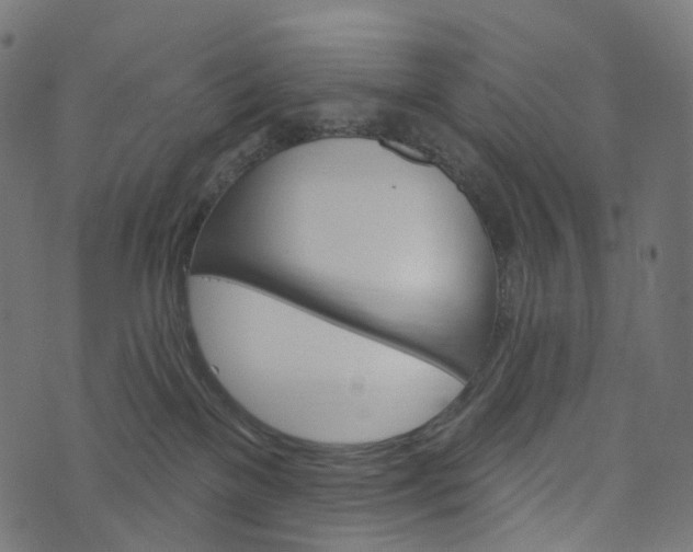 X0000073760137200608171406