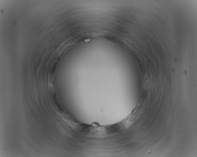 X0000073760140200608171406