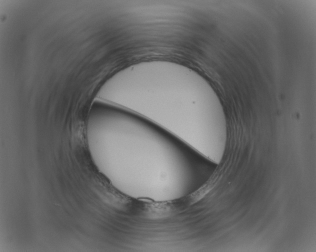 X0000073760141200608171406