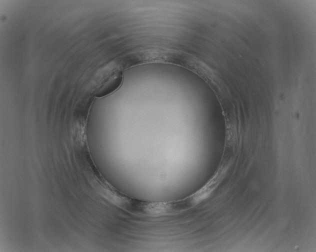 X0000073760142200608171406