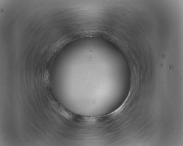 X0000073760144200608171406