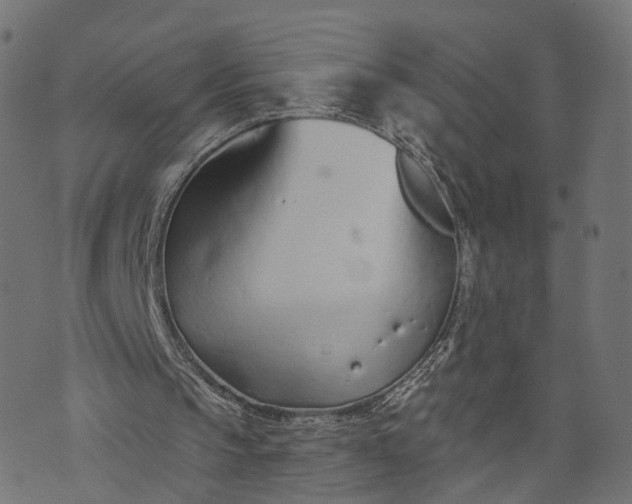 X0000073760145200608171405