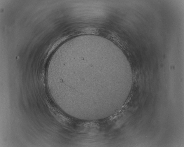 X0000073760146200608171405