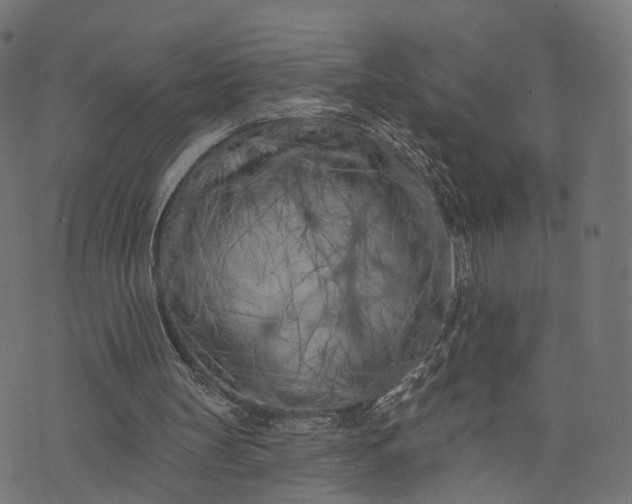 X0000073760147200608171405