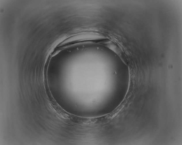 X0000073760148200608171405