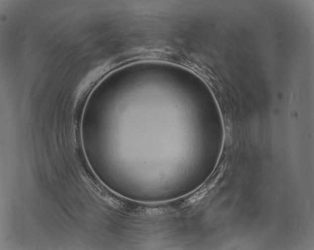 X0000073760149200608171405