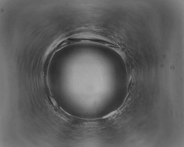 X0000073760150200608171405