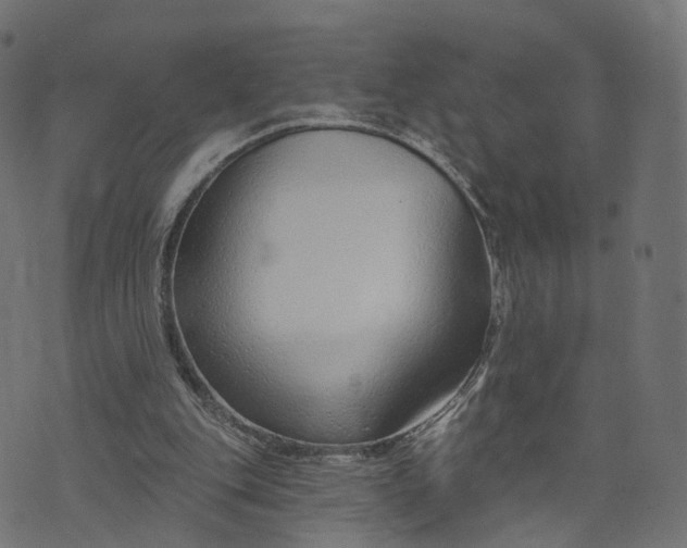 X0000073760151200608171405