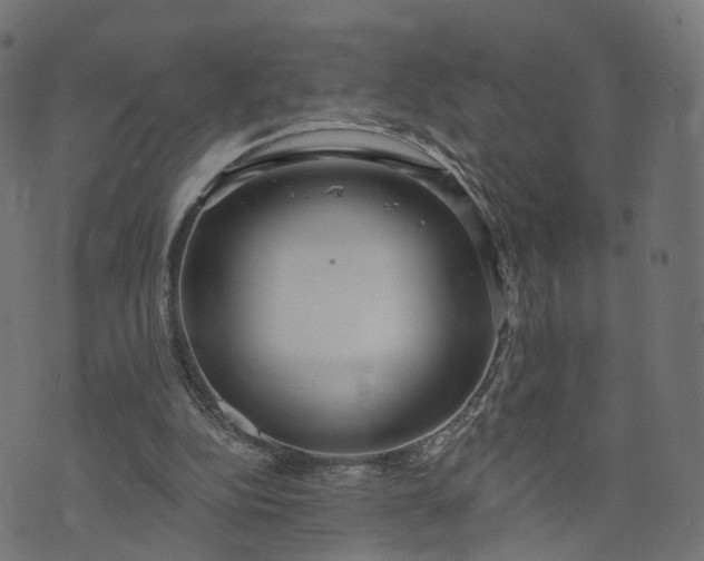 X0000073760152200608171405