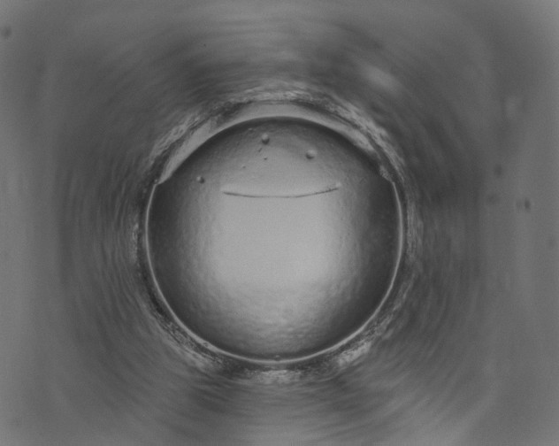 X0000073760153200608171405