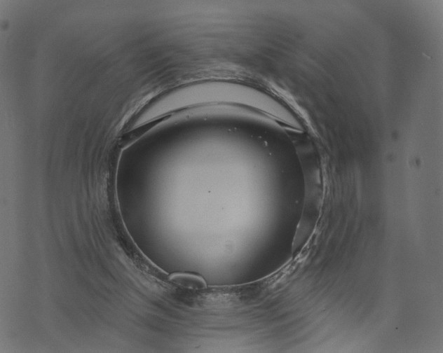 X0000073760154200608171405