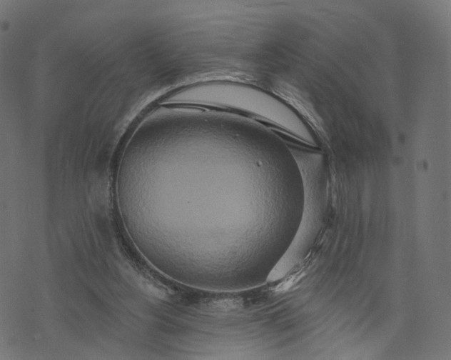 X0000073760156200608171405