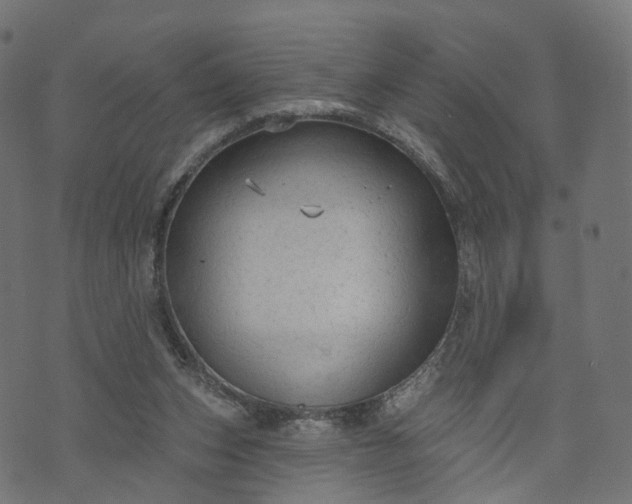 X0000073760159200608171405