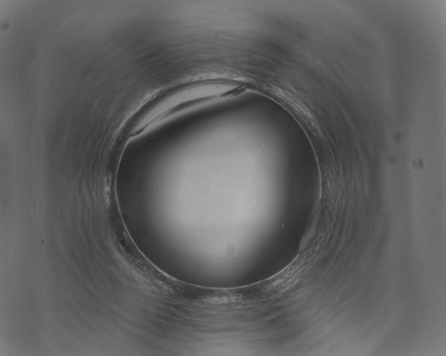 X0000073760160200608171405