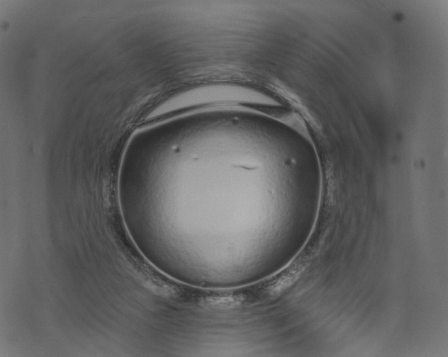 X0000073760161200608171405