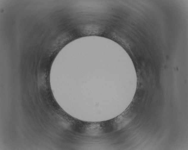 X0000073760162200608171405