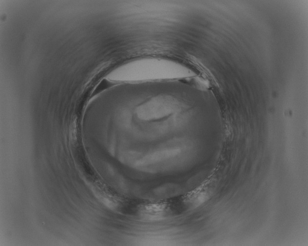 X0000073760163200608171405