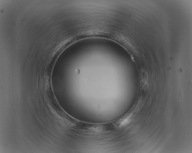 X0000073760164200608171405