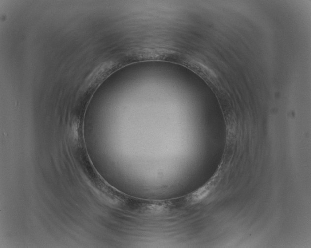 X0000073760166200608171405