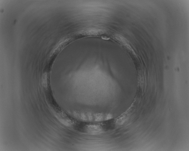 X0000073760167200608171405