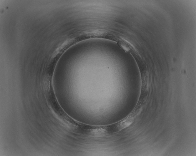 X0000073760168200608171405