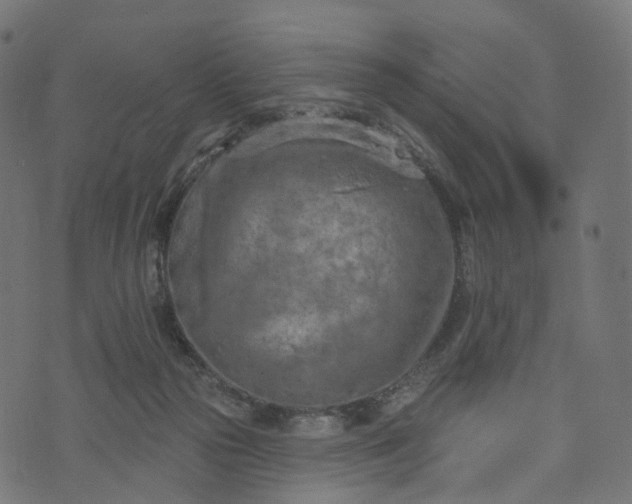 X0000073760169200608171405