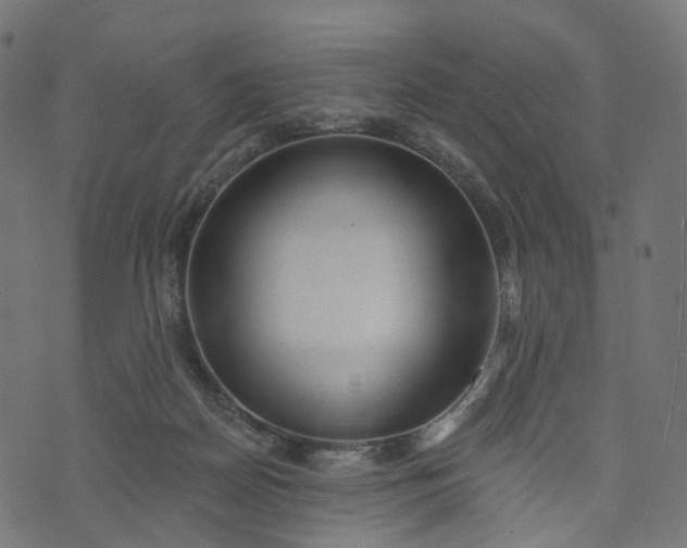 X0000073760170200608171405