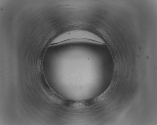 X0000073760171200608171405