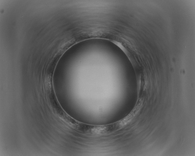 X0000073760172200608171405