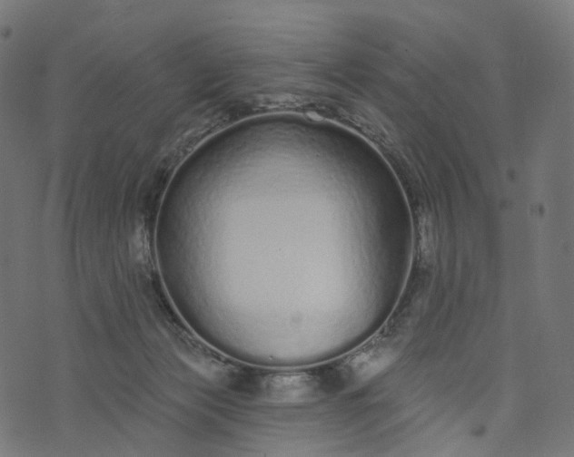 X0000073760173200608171405