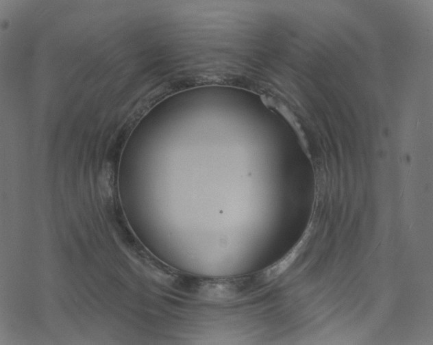 X0000073760174200608171405