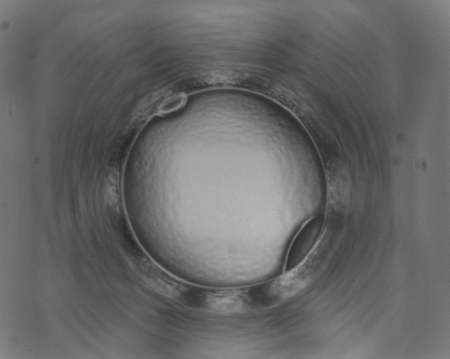 X0000073760175200608171405