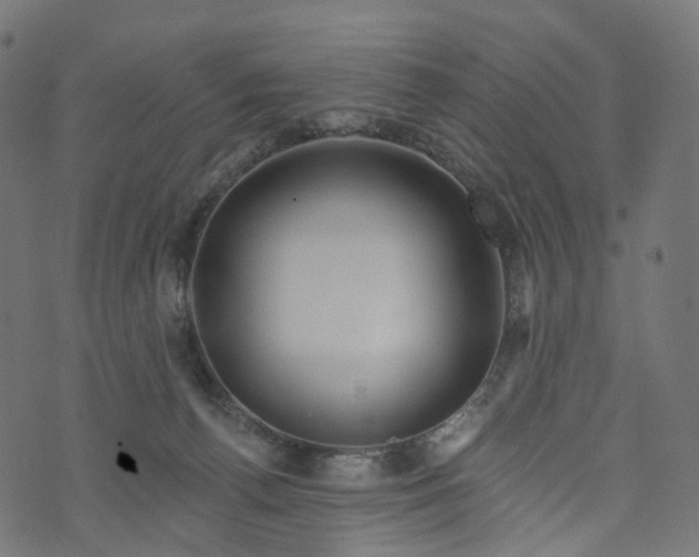 X0000073760176200608171405