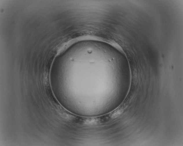 X0000073760177200608171405