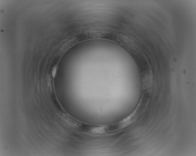 X0000073760178200608171405