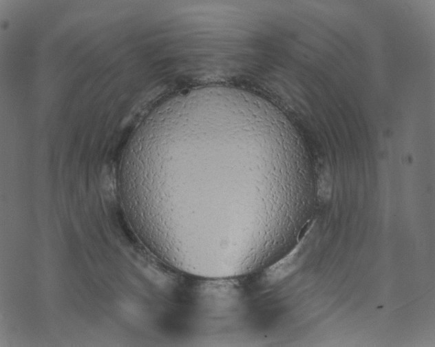 X0000073760179200608171405