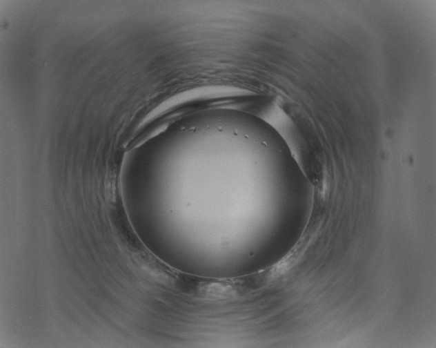 X0000073760180200608171405