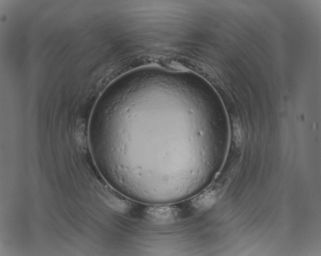 X0000073760181200608171405