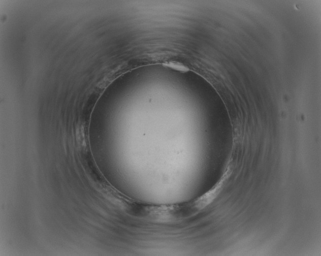 X0000073760182200608171405