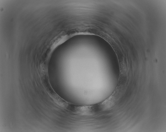 X0000073760184200608171405