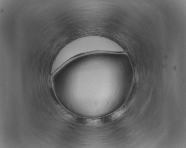 X0000073760185200608171406