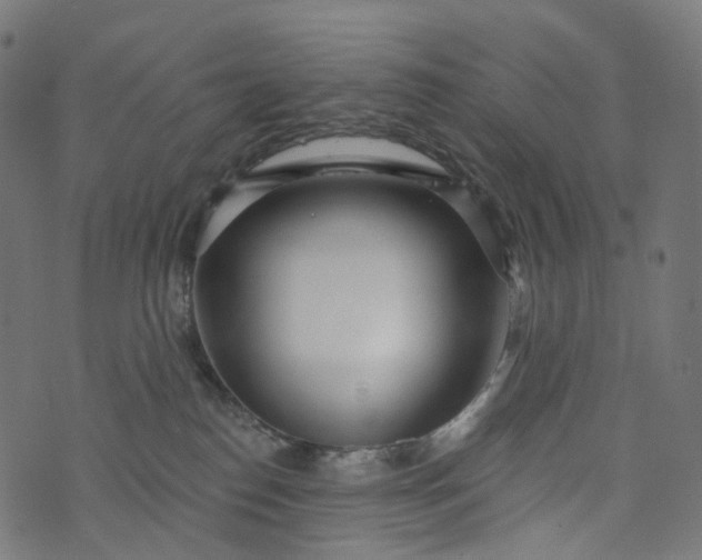 X0000073760186200608171406